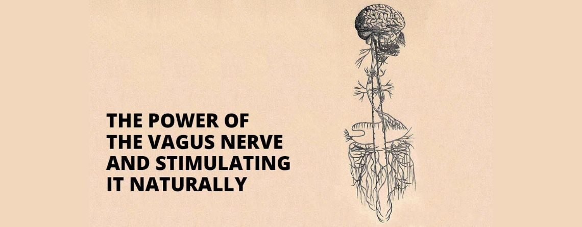 how to stimulate the vagus nerve